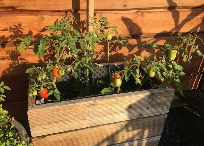 Townhouse With Garden, Terrace & Balcony Casa de Férias
