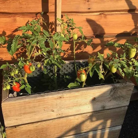 Townhouse With Garden, Terrace & Balcony Dom wakacyjny